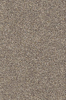 Ковролин AW Stainguard Harvest 47 фото 1 | FLOORDEALER